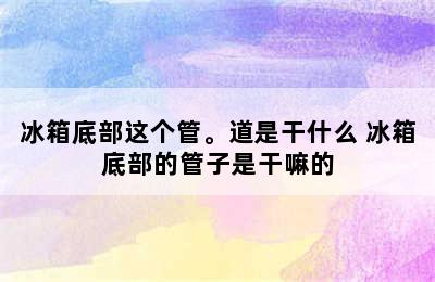 冰箱底部这个管。道是干什么 冰箱底部的管子是干嘛的